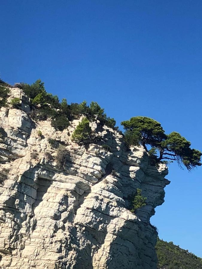 Fiore Bed And Breakfast Peschici Bagian luar foto